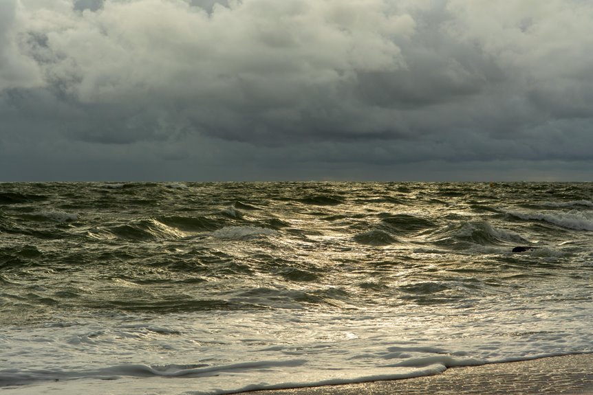 horizon surge revenue beam